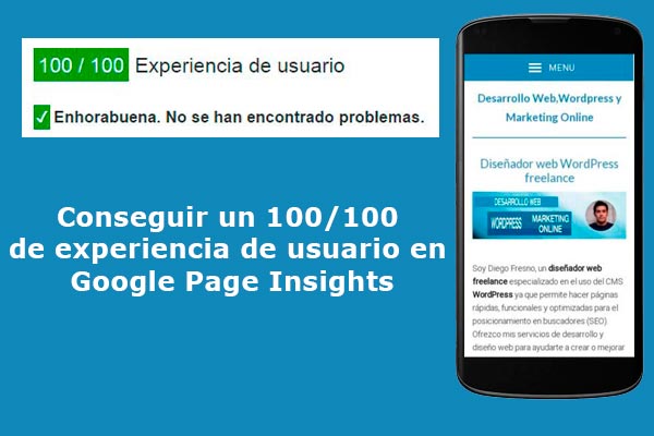 Conseguir un 100/100 de experiencia de usuario en Google Page Insights